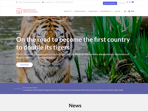 top website designer in penang